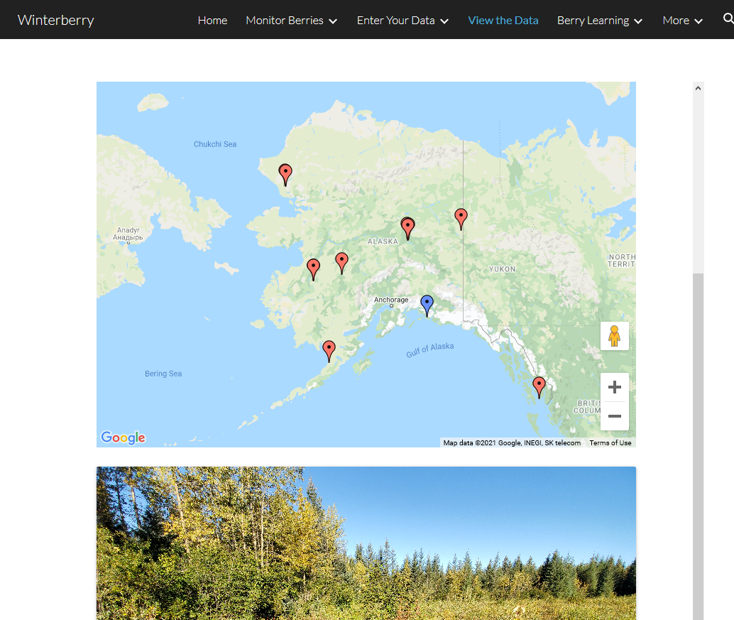 Winterberry Citizen Science Site View the Data Map